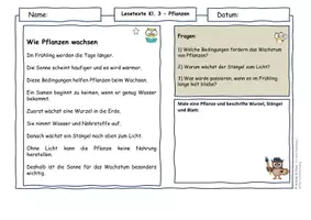 Vorschau - Arbeitsblätter - Pflanzen im Frühling – Lesetexte Klasse 3 | Fotosynthese & Bestäubung| Sachunterricht & Deutsch | differenziert - Seite 1