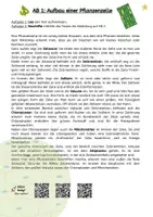 Vorschau - Arbeitsblätter - Aufbau und Funktionen Pflanzenzelle: zeichnen & vergleichen, beschriften & zuordnen - Seite 2