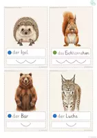 Vorschau - Fördermaterial/Inklusion - Wort-Bild-Karten DaZ Wortschatz Tiere im Wald - Seite 3