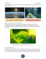 anteprima - Esercizi - LA CHIMICA FACILE - Lezione 13 - Le molecole della Vita - Pagina 2