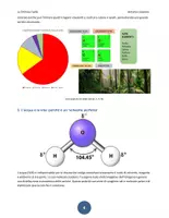 anteprima - Esercizi - LA CHIMICA FACILE - Lezione 13 - Le molecole della Vita - Pagina 3