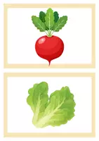 Vorschau - Bildkarten - flashcards fruits and vegetables_Wort- und Bildkarten Englisch - Seite 1