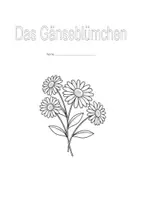 Vorschau - Arbeitsblätter - Gänseblümchen - Titelblatt - Deckblatt