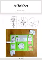 Vorschau - Arbeitsblätter - Lapbook Frühblüher: Sachunterricht ab Klasse 1 - Deckblatt