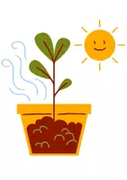 Vorschau - Arbeitsblätter - Gänseblümchen - Was brauchen Pflanzen zum Leben? (+ Bildkarten Fotosynthese) - Seite 3