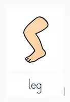 Vorschau - Arbeitsblätter - Englisch - The body (Körperteile) - Seite 2