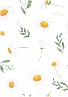 Vorschau - Bildkarten - Gänseblümchen Illustrationen - für Arbeitsblätter oder Deko - Seite 3