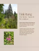 Vorschau - Lehrwerke/Schulbücher - Die kleine Auszeit-Revolution - Seite 1