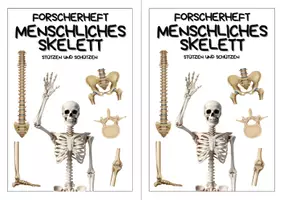 Vorschau - Arbeitsblätter - Forscherheft - Menschliches Skelett - Selbständiges Arbeiten - Seite 2