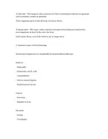 Vorschau - Arbeitsblätter - Foodborne Illness Worksheet – In-Depth Classroom Resource - Seite 1