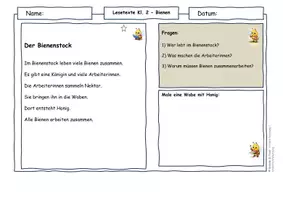 Vorschau - Arbeitsblätter - Bienen – Lesetexte Klasse 2 | Bestäubung einfach erklärt | Sachunterricht & Deutsch | differenziert - Seite 3