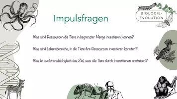 Vorschau - Arbeitsblätter - Ressourceninvestment, Lebenslaufstrategien, Trade-offs & Kosten-Nutzen-Kalkulation - Seite 2