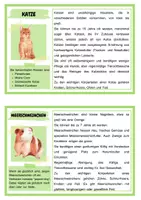 Vorschau - Stationenlernen - Wissenskartei Haustiere / Lesekartei / Sachunterricht - Seite 3