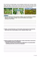 Vorschau - Arbeitsblätter - Versailles - Ein Schloß als Machtinstrument - Seite 2