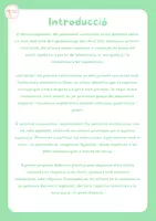 Vista previa - Refuerzo / NEE / Materiales de apoyo - Inici al pensament algebraic🟣⚪️🟢 - página 2