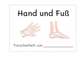 Vorschau - Arbeitsblätter - Forscherheft: Anatomie von Hand und Fuß - Seite 1