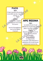 anteprima - Flashcard - Kit Flashcards delle Api – Società, Prodotti e Curiosità - Pagina 2