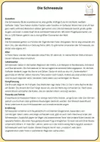 Vorschau - Stundenentwürfe - Sachtexte an Stationen - Mein Lieblingstier - Seite 1