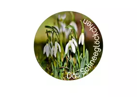 Vorschau - Unterrichtsreihen - Frühblüher - Lebenszyklus des Schneeglöckchens - Legekreis - Seite 1