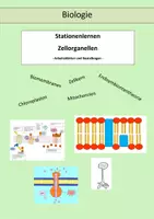 Vorschau - Arbeitsblätter - Zellorganellen - Stationenarbeit - Deckblatt