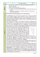 Vorschau - Arbeitsblätter - Zellorganellen - Stationenarbeit - Seite 2