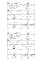 Vorschau - Arbeitsblätter - Bildergeschichte: Frühling / Frühblüher (Schreiben üben) Klasse 2, 3, 4 - Seite 3