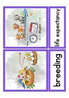 Vorschau - Präsentationen/Tafelbilder - Tafelmaterial Young World 4 Unit 2 "Fascinating animal facts" - Klett - Seite 2