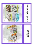 Vorschau - Präsentationen/Tafelbilder - Tafelmaterial Young World 4 Unit 2 "Fascinating animal facts" - Klett - Seite 3