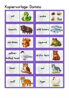 Vorschau - Spiele - Spiele Young World 4 Unit 2 "Fascinating animal facts" - Seite 2