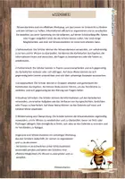 Vorschau - Arbeitsblätter - Wissenskartei - Insekten: Die Honigbiene - Seite 1