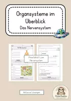 Vorschau - Unterrichtsreihen - Materialpaket Nervensystem Arbeitsblätter inklusive Lösungen - Seite 1