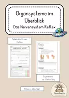 Vorschau - Arbeitsblätter - Nervensystem Reflex Arbeitsblätter inklusive Lösung - Deckblatt