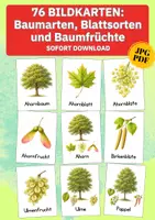 Vorschau - Arbeitsblätter - Natur entdecken: Baumarten Bildkarten – 76 Karten zu Baum, Blatt und Frucht für Sachunterricht & Umweltbildung - Deckblatt