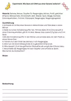 Vorschau - Arbeitsblätter - Experiment - DNA isolieren aus einer Banane mit Lösung - Seite 1
