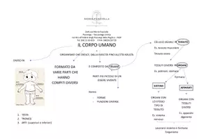 anteprima - Materiale di supporto/inclusione - il corpo umano + DOMANDE - Pagina di copertina