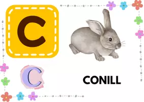 Vista previa - Hojas de trabajo - Abecedari d’animals - Alfabet en català imprimible - página 2