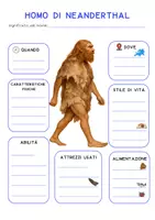 anteprima - Mappe concettuali - 📘UOMO DI NEANDERTHAL - Mappa concettuale - Pagina 1