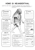 anteprima - Mappe concettuali - 📘UOMO DI NEANDERTHAL - Mappa concettuale - Pagina 2