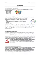 Vorschau - Arbeitsblätter - pdf beschreibbar Suchmaschinen Medienbildung Klasse 5/6 - Seite 2