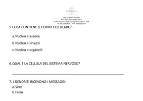 anteprima - Materiale di supporto/inclusione - Il sistema nervoso + domande finali. - Pagina 3