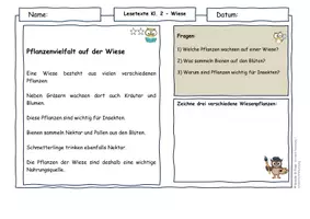 Vorschau - Arbeitsblätter - Vögel im Frühling – Lesetexte Klasse 2 | Nahrung & Lebensraum | Sachunterricht & Deutsch | differenziert mit Lösungen - Seite 2