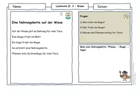 Vorschau - Arbeitsblätter - Vögel im Frühling – Lesetexte Klasse 2 | Nahrung & Lebensraum | Sachunterricht & Deutsch | differenziert mit Lösungen - Seite 3