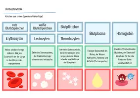 Vorschau - Arbeitsblätter - Blut & Blutbestandteile - Legekarten, Domino & Tabelle - Seite 1
