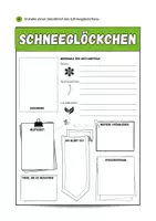 Vorschau - Arbeitsblätter - Frühblüher: das Schneeglöckchen - Seite 2