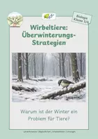 Vorschau - Stundenentwürfe - Tiere im Winter - Winterschlaf, Winterstarre & Vogelzug - Deckblatt