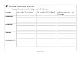 Vorschau - Stundenentwürfe - Tiere im Winter - Winterschlaf, Winterstarre & Vogelzug - Seite 2
