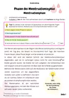 Vorschau - Arbeitsblätter - Menstruationszyklus und fruchtbare Tage (Gruppenpuzzle und Einzelarbeit) - Seite 2