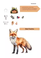 Vorschau - Arbeitsblätter - Tiere im Wald - differenziert - Seite 1