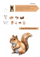 Vorschau - Arbeitsblätter - Tiere im Wald - differenziert - Seite 2