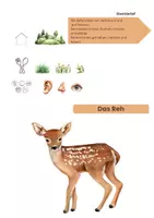 Vorschau - Arbeitsblätter - Tiere im Wald - differenziert - Seite 3
